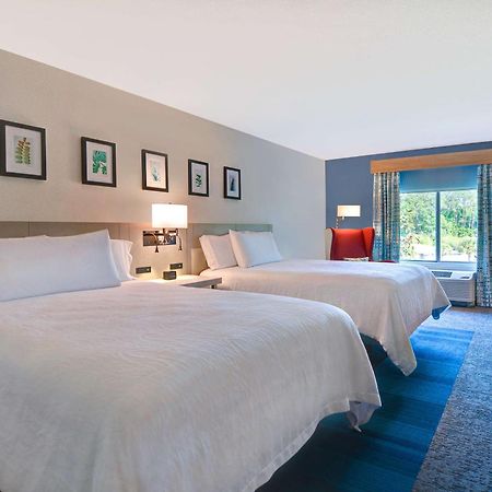 Hilton Garden Inn Jacksonville Orange Park Εξωτερικό φωτογραφία